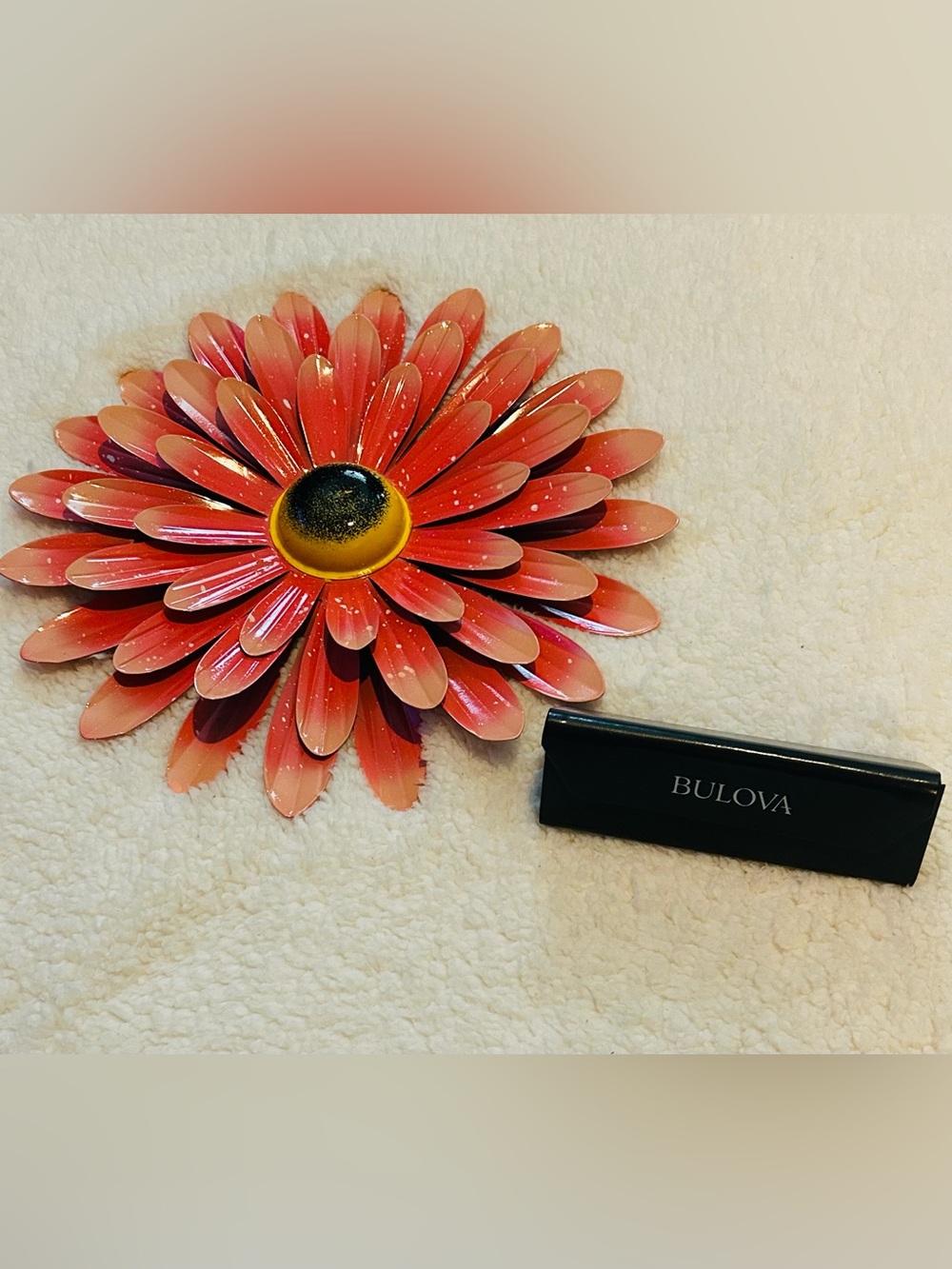 Bulova sunglasses case